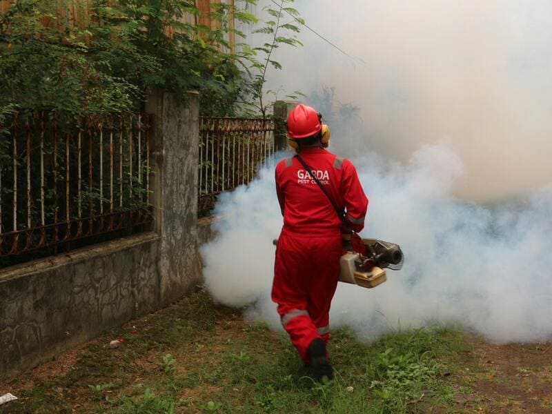 Pest Control contractor at work